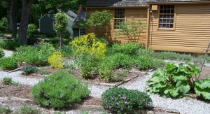Period Herb Garden