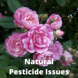 natural pesticide issues