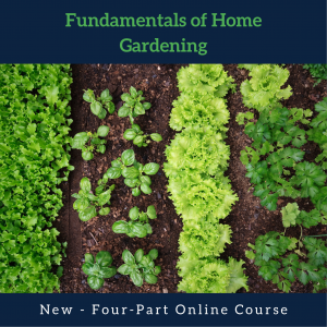 fundamentals of home gardening