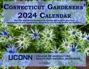 image of calendar front with blue sea holly in background and title "connecticut gardeners' 2024 calendar"