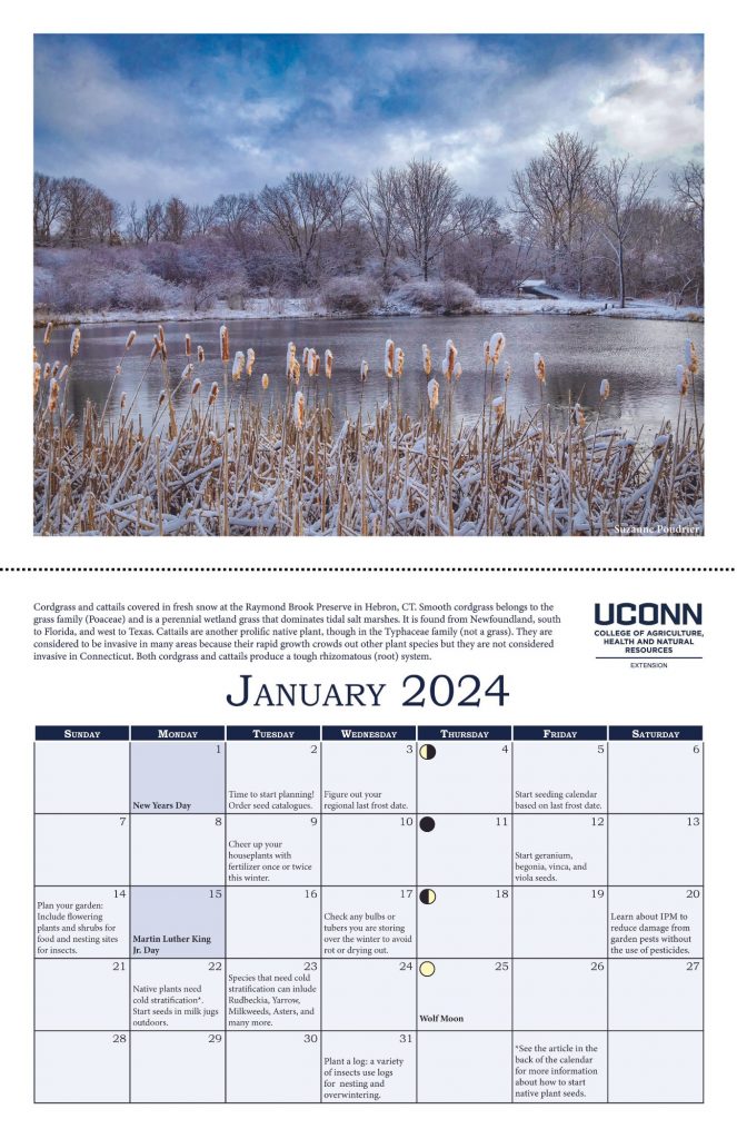 image of the calendar open to the month of january with a photo of a partially frozen lake, text below with description, and calendar months with tips listed.