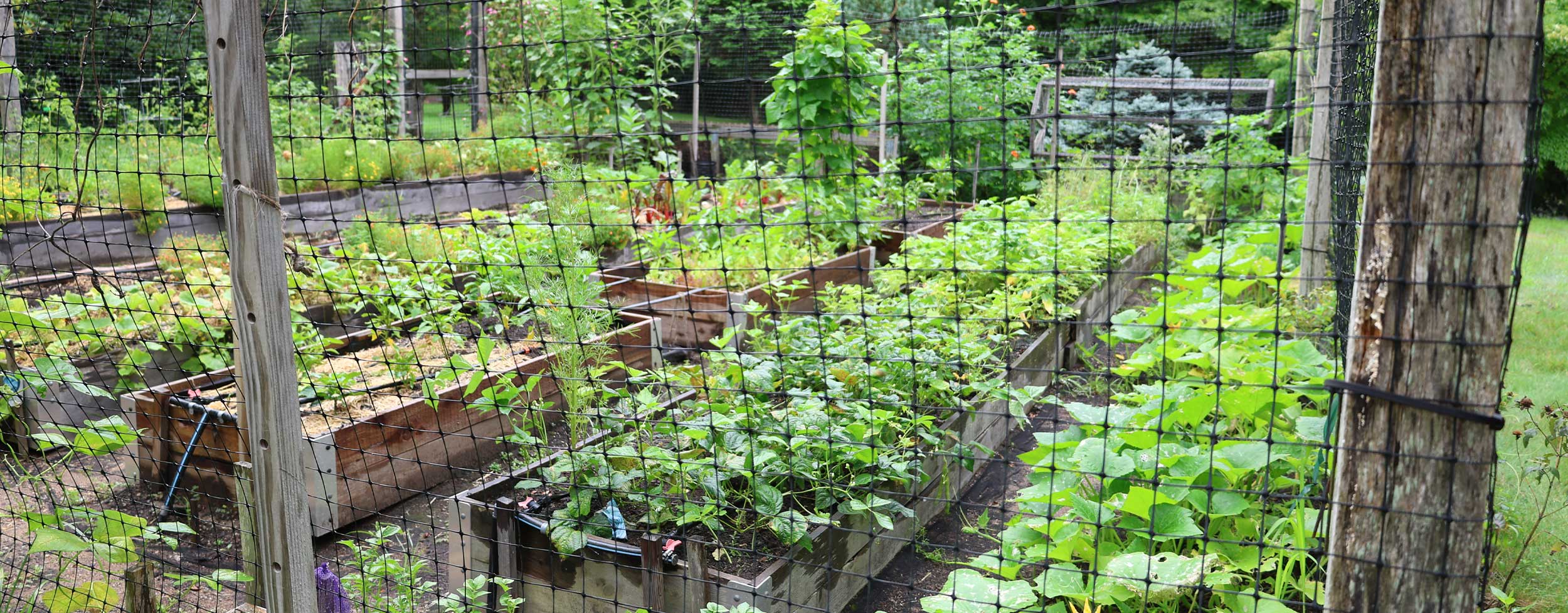 Haddam community garden