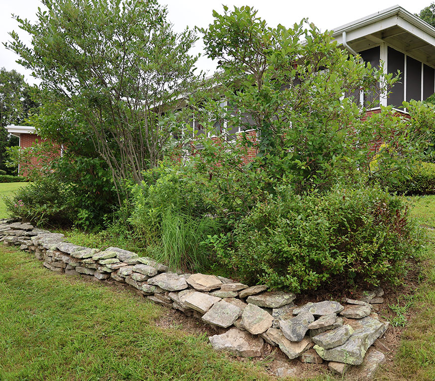 Norwich rain garden