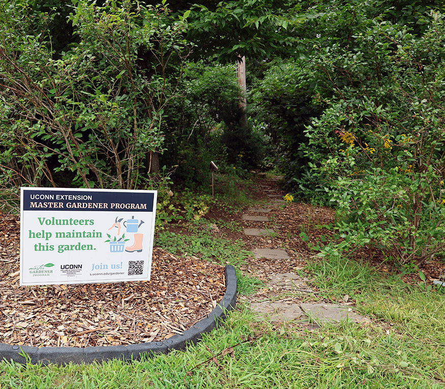 Norwich walking trail entrance