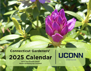 photo of the 2025 calendar cover